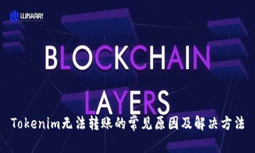 Tokenim无法转账的常见原因及解决方法