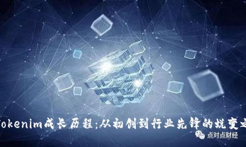 : Tokenim成长历程：从初创到行业先锋的蜕变之路