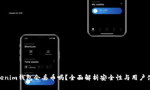 Tokenim钱包会丢币吗？全面解析安全性与用户体验