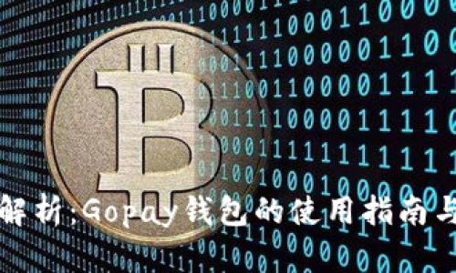 全面解析：Gopay钱包的使用指南与技巧