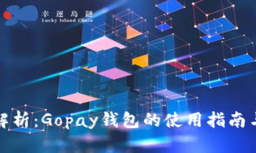 全面解析：Gopay钱包的使用指南与技巧