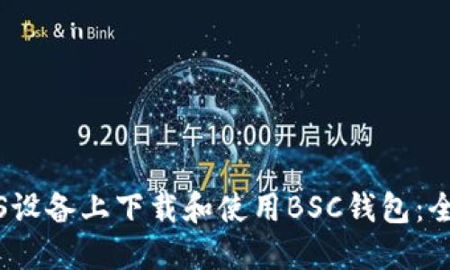 如何在iOS设备上下载和使用BSC钱包：全方位指南