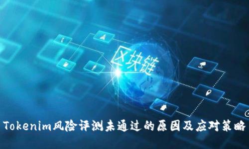 Tokenim风险评测未通过的原因及应对策略