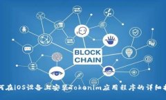 如何在iOS设备上安装Tokenim应用程序的详细指南