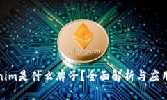 Tokenim是什么牌子？全面解析与应用场景