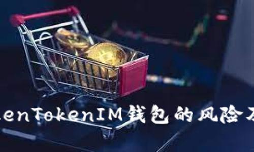 全面评估TokenTokenIM钱包的风险及安全性分析
