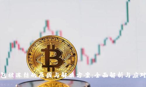 冷钱包被冻结的原因与解决方案：全面解析与应对策略