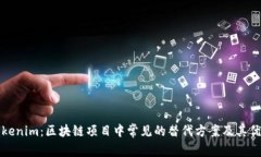 代替Tokenim：区块链项目中常见的替代方案及其优