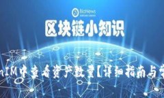 如何在TokenIM中查看资产数量？详细指南与常见问