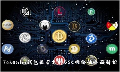 Tokenim钱包是否支持BSC网络的全面解析