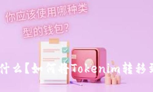 Tokenim是什么？如何将Tokenim转移到交易平台？