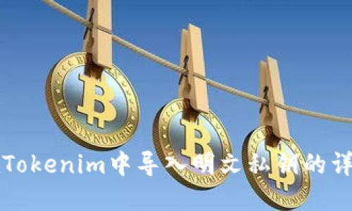 如何在Tokenim中导入明文私钥的详细指南