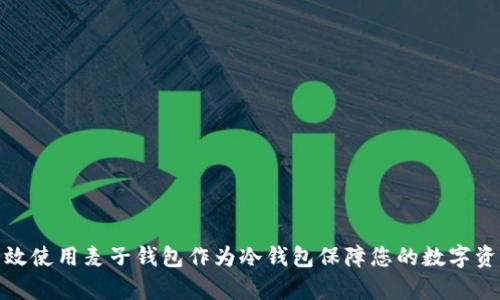 如何有效使用麦子钱包作为冷钱包保障您的数字资产安全