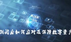 冷钱包网站倒闭后如何应对及保障数字资产安全