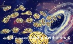 山寨币与Tokenim的关系及投资潜力分析