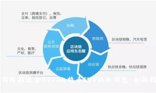 如何选择适合BSV（比特币SV）的冷钱包：全面指南