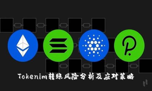 Tokenim转账风险分析及应对策略