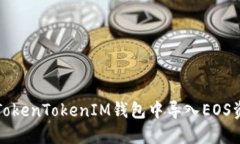 如何在TokenTokenIM钱包中导入EOS资产详解