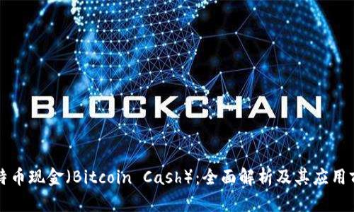 比特币现金（Bitcoin Cash）：全面解析及其应用前景